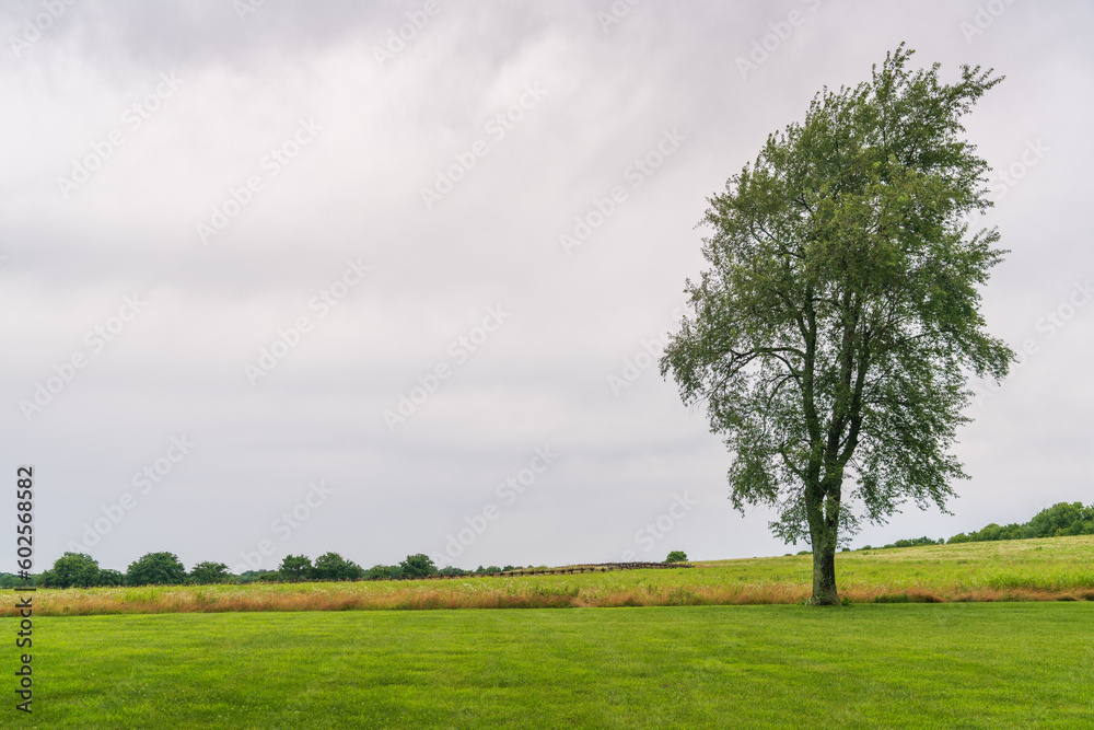 Battlefield and Fence at Wilson's Creek National Battlefield Battlefield and Fence at Wilson's Creek National Battlefield