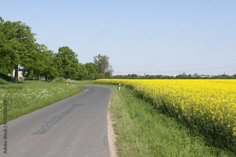 Naklejka premium Strasse in Brandenburg