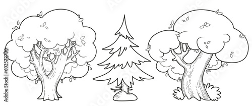 Three big old tree linear drawing two deciduous and one spruce for coloring isolated on white background