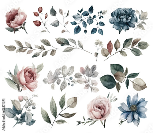 Set of watercolor flowers leaves and twigs on a white background