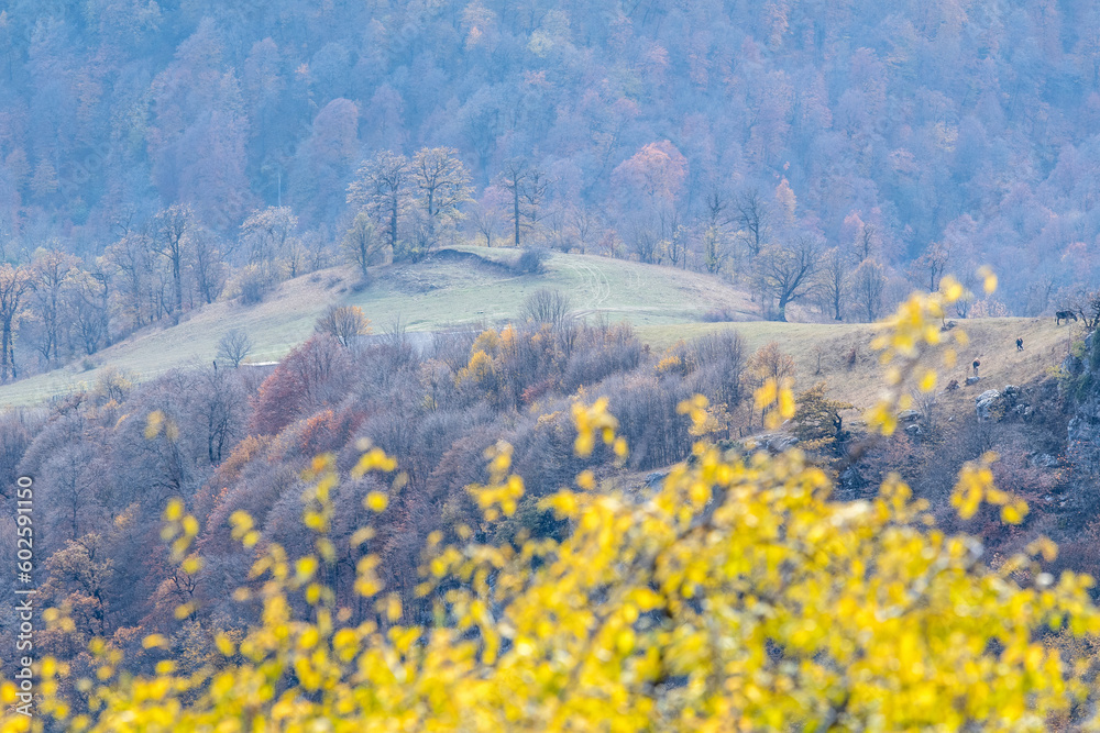 Fototapeta premium Armenian autumn forest landscape. View from Mount Dimats slope on sunny autumn day. Dilijan National Park, Tavush Province, Armenia.