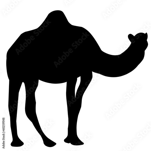 Vector camel silhouette