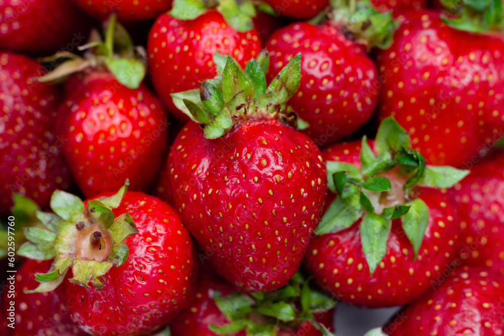 fresh strawberry fruits fresh strawberry fruits