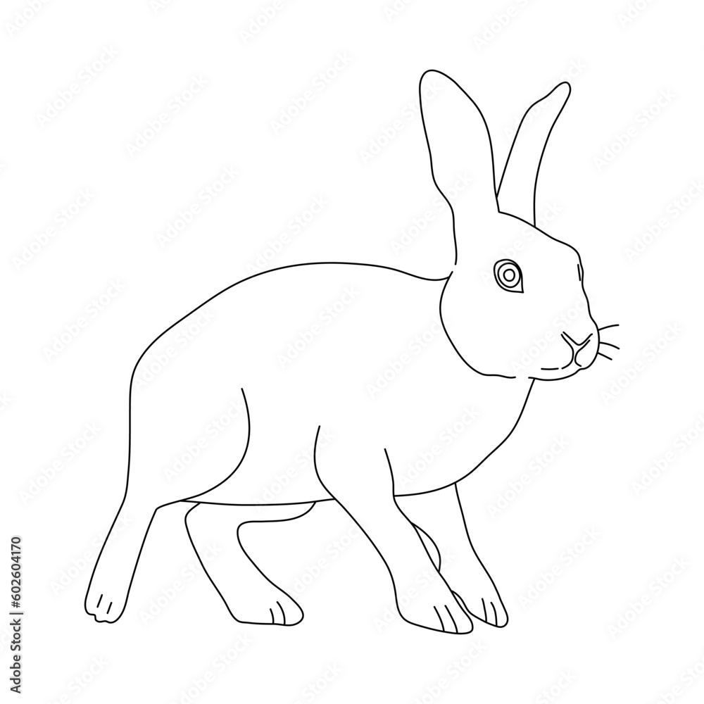 Sketch of Rabbit drawn by hand. Vector hand drawn illustration. Sketch of Rabbit drawn by hand. Vector hand drawn illustration.