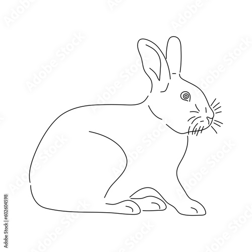 Cute rabbit sketch. Hand drawn illustration.