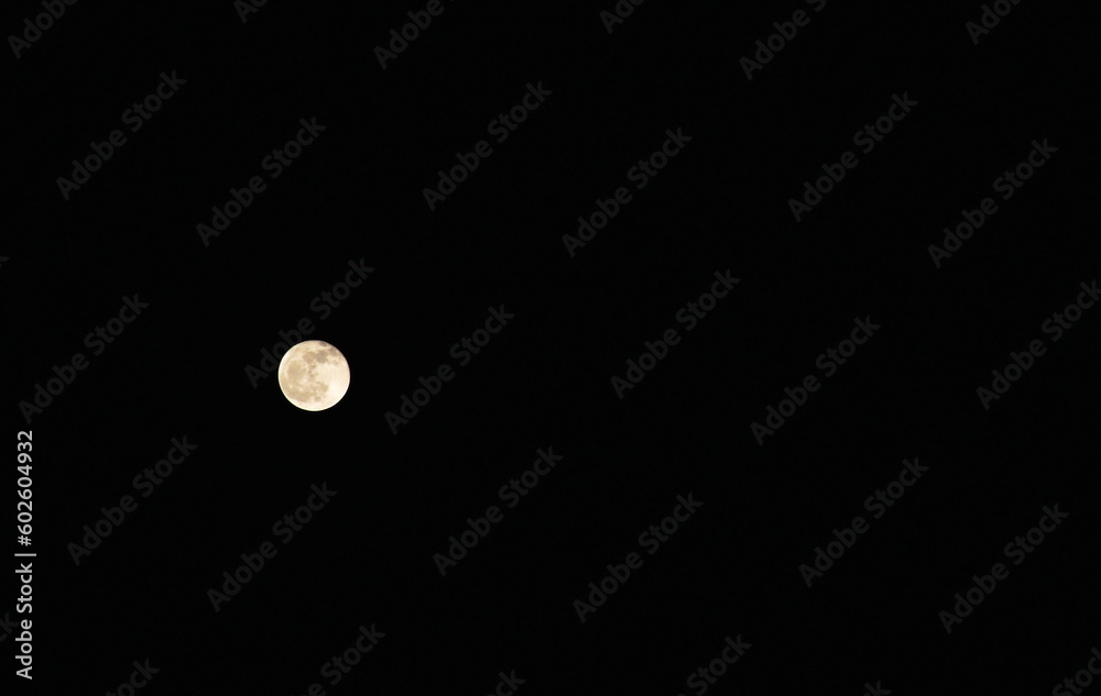 bright moon floating on sky in twilight background bright moon floating on sky in twilight background