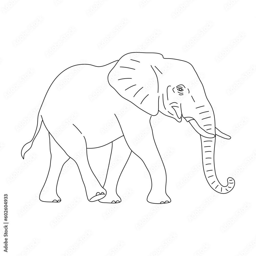 Fototapeta premium Elephant in line art drawing style. Vector illustration.