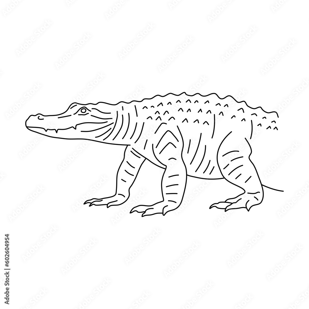 Doodle of Alligator. Hand drawn vector illustration. Doodle of Alligator. Hand drawn vector illustration.