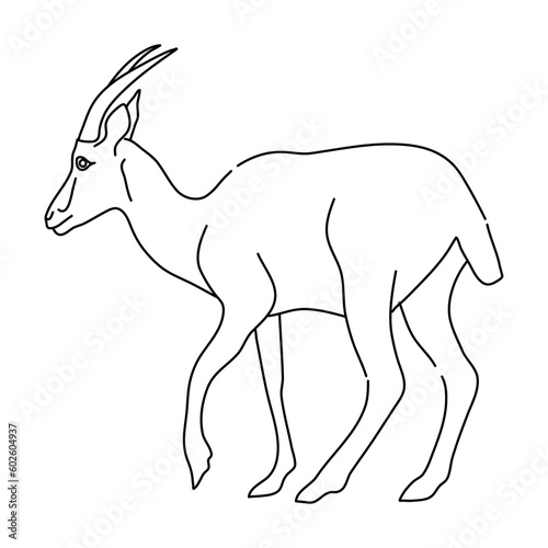 Doodle of Antelope. Hand drawn vector illustration.