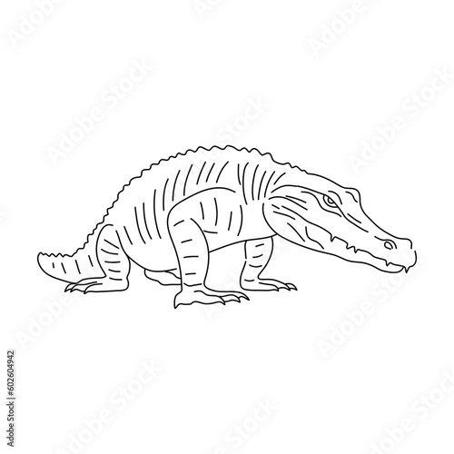 Sketch of Alligator drawn by hand. Vector hand drawn illustration.