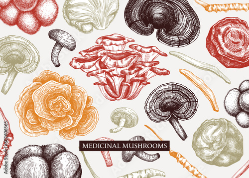 Medicinal mushroom vector background. Sketched adaptogenic plants banner design. Perfect for traditional medicine recipe, menu, label, packaging. Magic fungi sketches in color