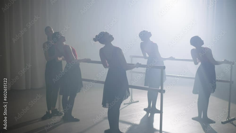 Women in ballet costumes perform exercises under the supervision of a coach. Group ballet is a combination of collective spirit, cooperation and individual development. High quality 4k footage Women in ballet costumes perform exercises under the supervision of a coach. Group ballet is a combination of collective spirit, cooperation and individual development. High quality 4k footage