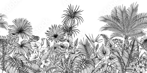 Seamless horizontal pattern tropical garden in engraving style. Anthurium, aralia, protea, palm and banana leaves, orchid, liviston, frieze, sabal, plumeria, zantedeschia, monstera, strelitzia photo