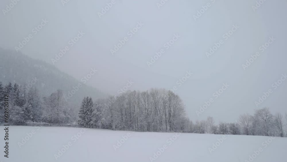 Heavy snow falling on a Bavarian meadow scenic nature