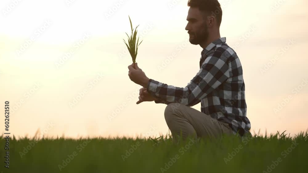 Against beautiful sunlight. Holding seedling. Handsome young man is on agricultural field.