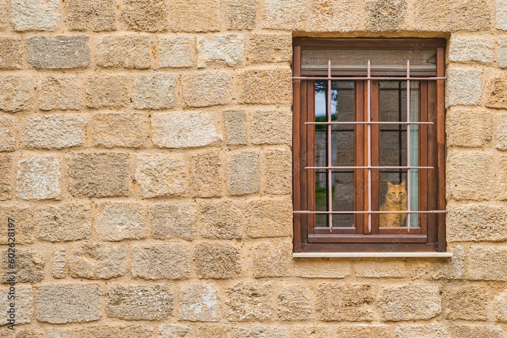 The wall of the old house with a window, the cat looks out the window, the streets of the medieval city of Rhodes, beginning of the season of travel to popular places in Dodecanese archipelago Greece