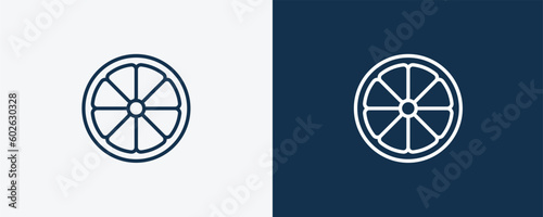 half lemon icon. Outline half lemon icon from restaurant collection. Linear vector isolated on white and dark blue background. Editable half lemon symbol.