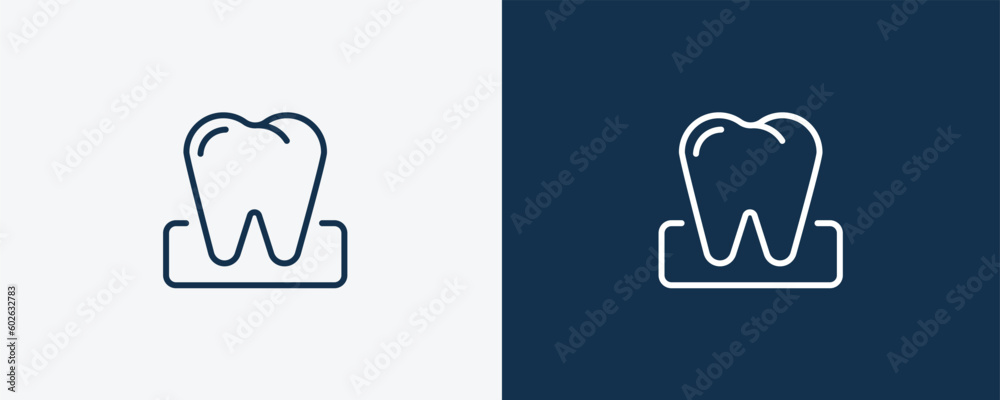 molar icon. Outline molar icon from medical collection. Linear vector