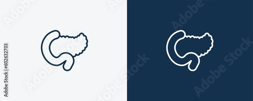 pancreas icon. Outline pancreas icon from medical collection. Linear vector isolated on white and dark blue background. Editable pancreas symbol
