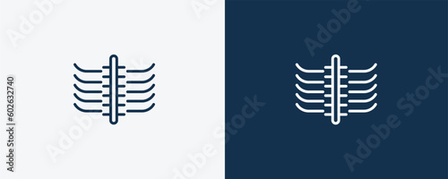 x ray icon. Outline x ray icon from medical collection. Linear vector isolated on white and dark blue background. Editable x ray symbol