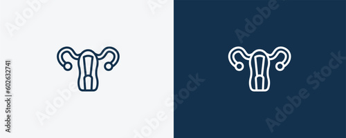 uterus icon. Outline uterus icon from medical collection. Linear vector isolated on white and dark blue background. Editable uterus symbol