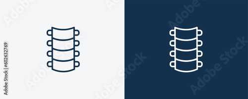 spinal column icon. Outline spinal column icon from medical collection. Linear vector isolated on white and dark blue background. Editable spinal column symbol