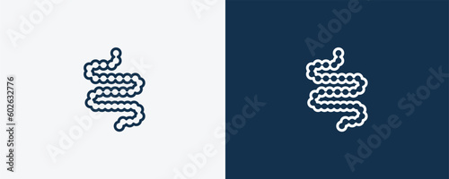 intestines icon. Outline intestines icon from medical collection. Linear vector isolated on white and dark blue background. Editable intestines symbol