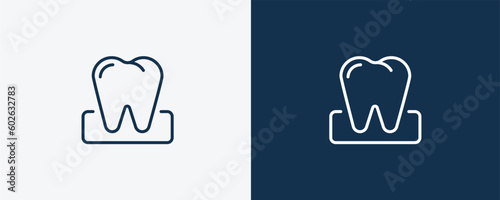 molar icon. Outline molar icon from medical collection. Linear vector isolated on white and dark blue background. Editable molar symbol