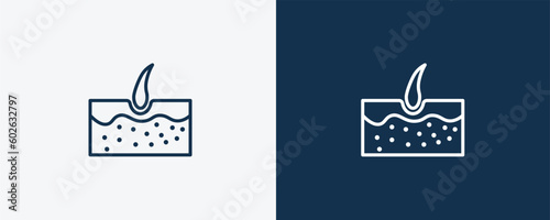 epidermis icon. Outline epidermis icon from medical collection. Linear vector isolated on white and dark blue background. Editable epidermis symbol