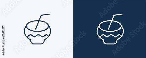 kalabas icon. Outline kalabas icon from culture and civilization collection. Linear vector isolated on white and dark blue background. Editable kalabas symbol. photo