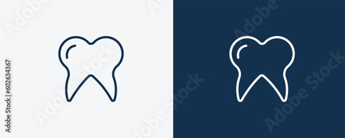 molar tooth icon. Outline molar tooth icon from medical and healthcare collection. Linear vector isolated on white and dark blue background. Editable molar tooth symbol.
