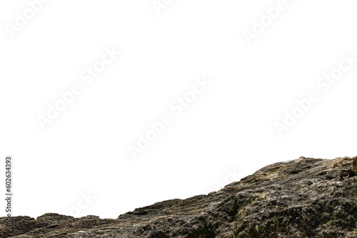 Photography Stone texture in the foreground on a white background.