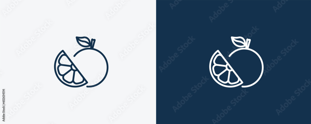grapefruit icon. Outline grapefruit icon from vegetables and fruits ...