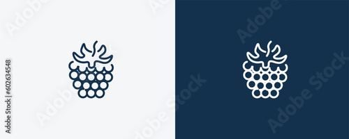 blackberry icon. Outline blackberry icon from vegetables and fruits collection. Linear vector isolated on white and dark blue background. Editable blackberry symbol.
