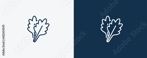 arugula icon. Outline arugula icon from vegetables and fruits collection. Linear vector isolated on white and dark blue background. Editable arugula symbol.
