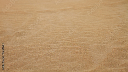 Sand Texture. Sand on the beach. Squeaks.