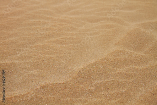 Sand Texture. Sand on the beach. Squeaks.