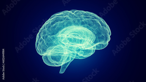 Medical depiction of a human brain