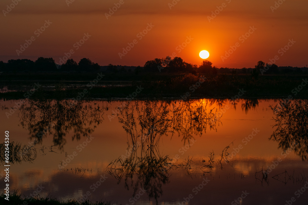 Naklejka premium sunset over the river