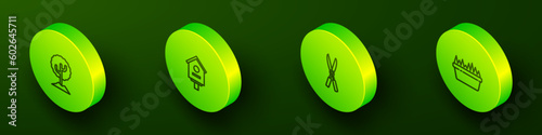 Set Isometric line Tree, Bird house, Gardening handmade scissors and Fresh grass rectangular icon. Vector