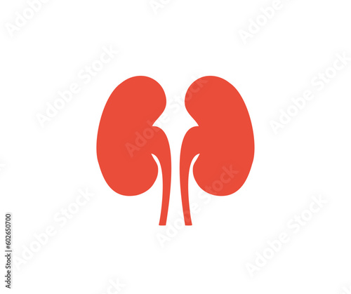 Human kidney anatomy isolated on white background logo design. Human kidney silhouette icon vector design and illustration.