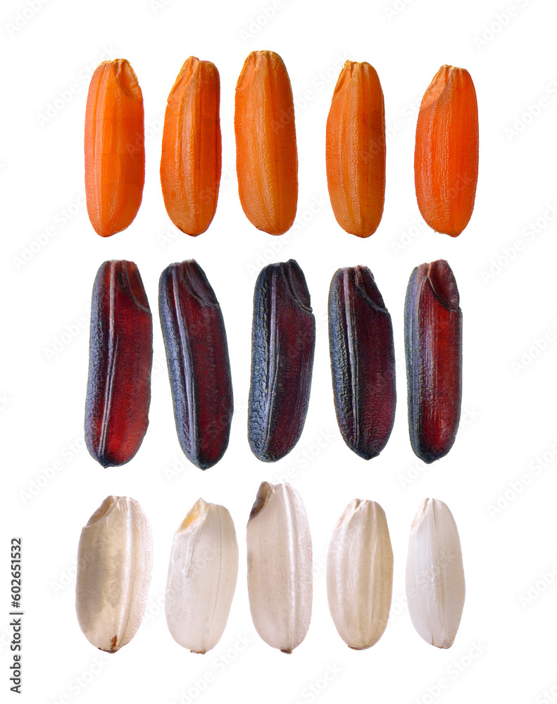 rice on transparent png rice on transparent png