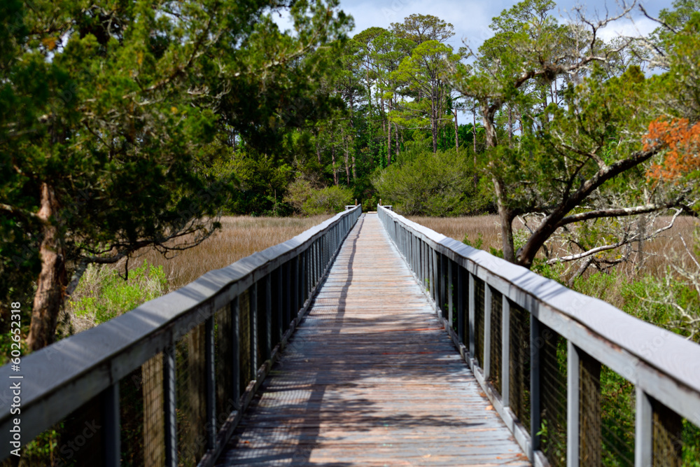 Scenic view showing boardwalk crossing  St. Augustine, Florida marshland.