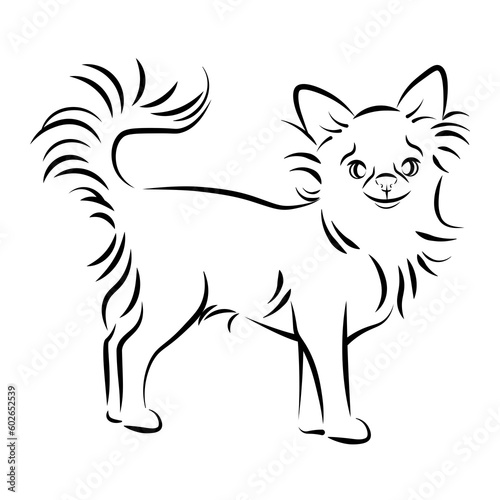Chihuahua breed dog in black lines