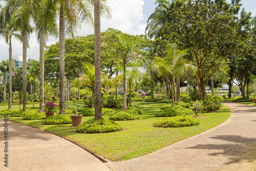 Palm collection in сity park in Kuching, Malaysia, tropical garden with large trees and lawns.