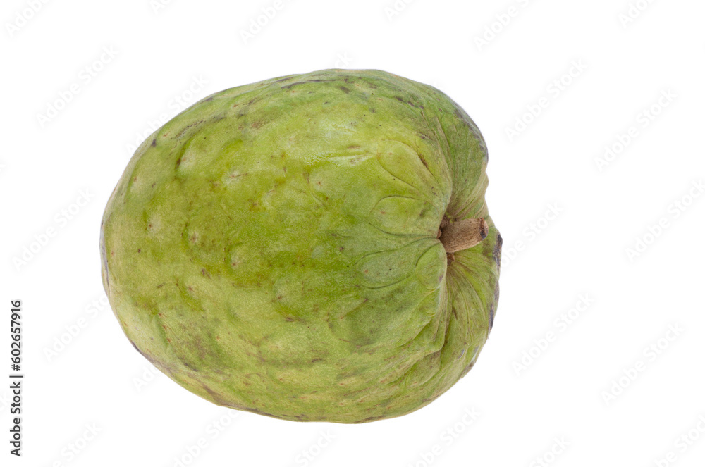 anona isolated anona isolated