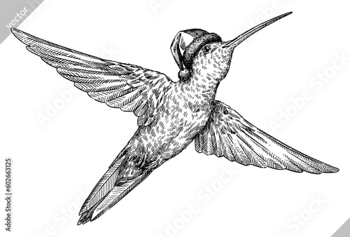 Vintage engraving isolated hummingbird set dressed christmas illustration ink humming santa costume sketch. Bird background colibri tropical silhouette new year hat art. Hand drawn vector image.