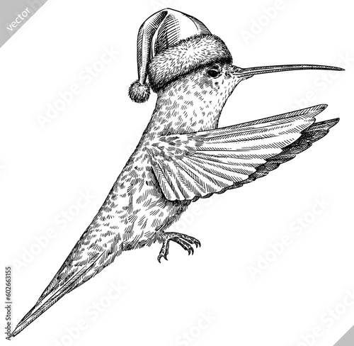 Vintage engraving isolated hummingbird set dressed christmas illustration ink humming santa costume sketch. Bird background colibri tropical silhouette new year hat art. Hand drawn vector image.