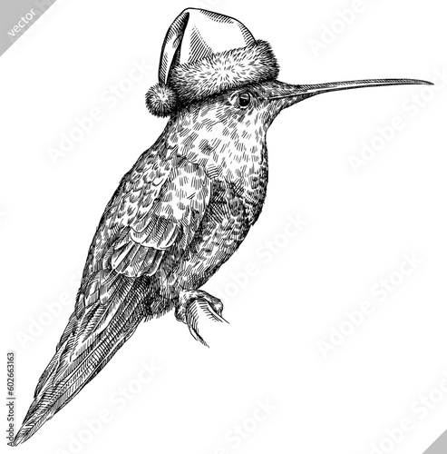 Vintage engraving isolated hummingbird set dressed christmas illustration ink humming santa costume sketch. Bird background colibri tropical silhouette new year hat art. Hand drawn vector image.