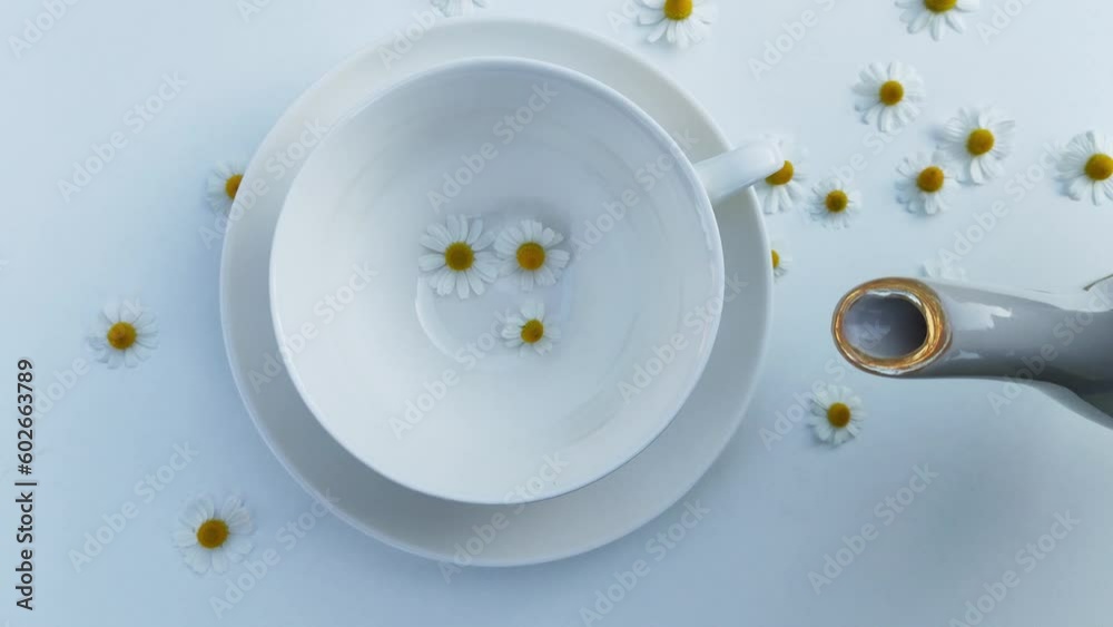 A cup of chamomile tea on a white background with flower buds inside. Soothing and healing natural herbal infusion. Flat lay, top view. Herbal remedy for insomnia. Concept lifestyle. Super-food. A cup of chamomile tea on a white background with flower buds inside. Soothing and healing natural herbal infusion. Flat lay, top view. Herbal remedy for insomnia. Concept lifestyle. Super-food.